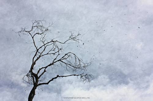 Осенний мотив