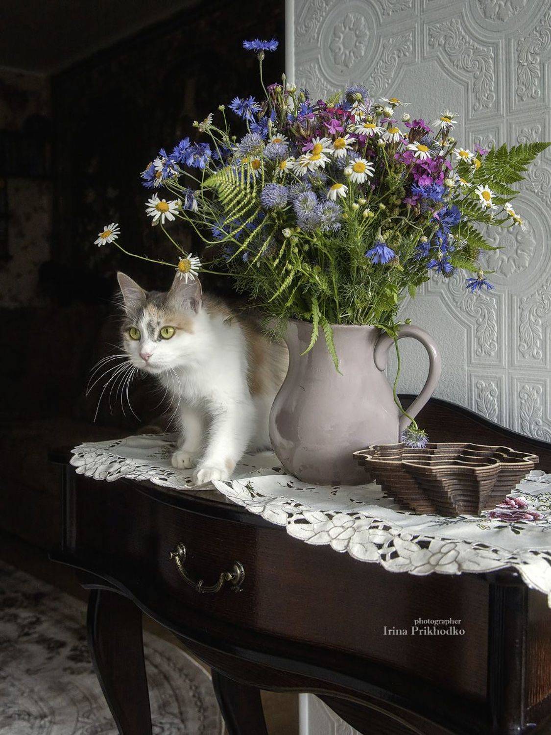 натюрморт, котонатюрморт, домашние животные, кошка, букет, полевые цветы, интерьер, Приходько Ирина
