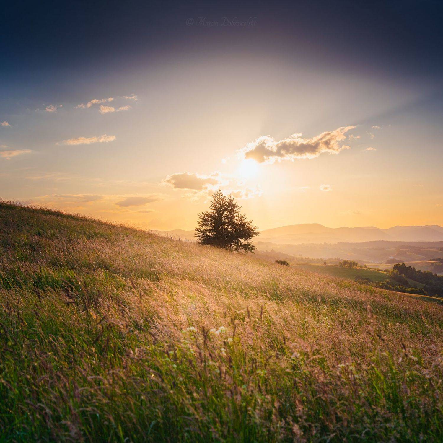 Beskid Sądecki, beskidsadecki, sun, sunset, landscape, photography, warm, clouds, tree, Tullusion, Wola Krogulecka, wolakrogulecka, Barcice, golden hour, square, no people, outdoors, nature, sky, plant,  Marcin Dobrowolski