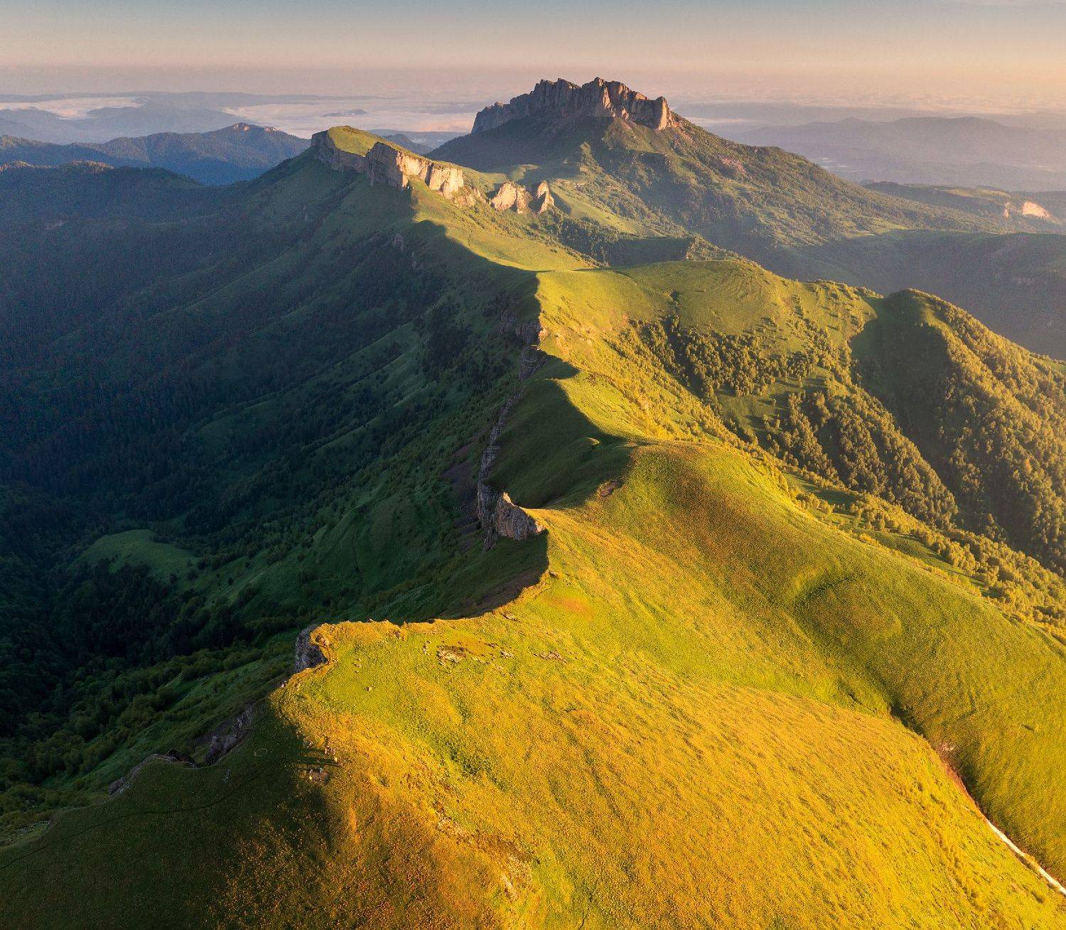 кавказ, западный кавказ, горы, природа, цветы, рододендроны, тхач, ачешбок, Сергей Луканкин