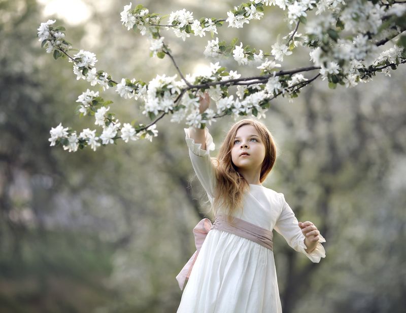 Дотянуться до небес фото превью