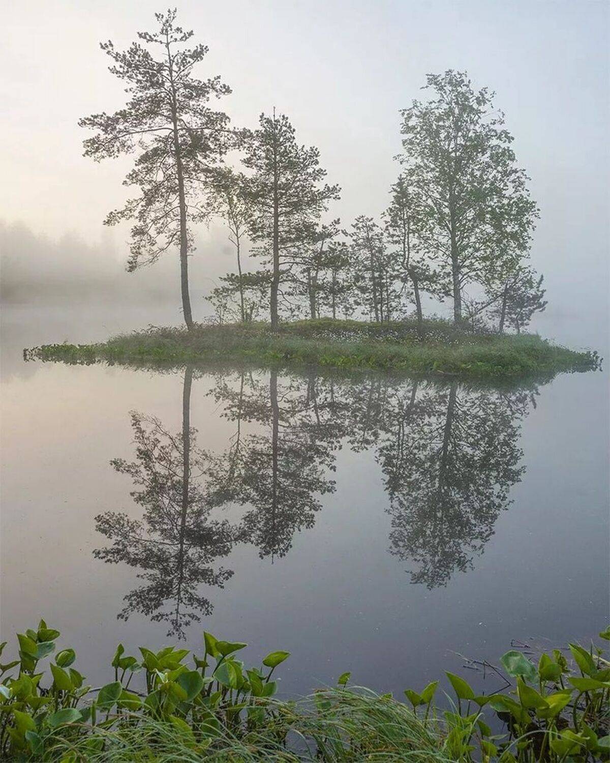 , Петр Косых