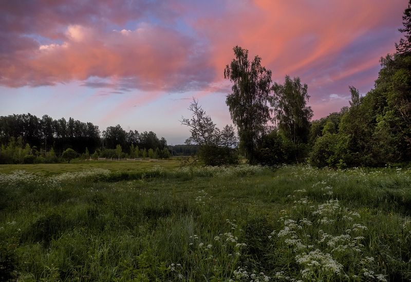 Розовый рассвет фото превью