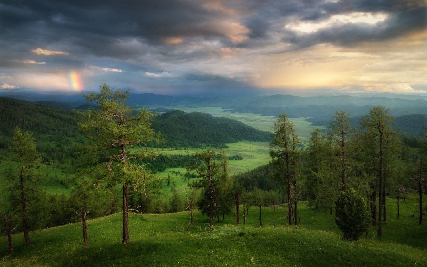 алтай, горный алтай, горы, лето в горах, радуга, грозовое небо, гроза, горная степь, теньгинская степь, онгудайский район, тайга, таежный лес, лиственницы,, Рубан Алена
