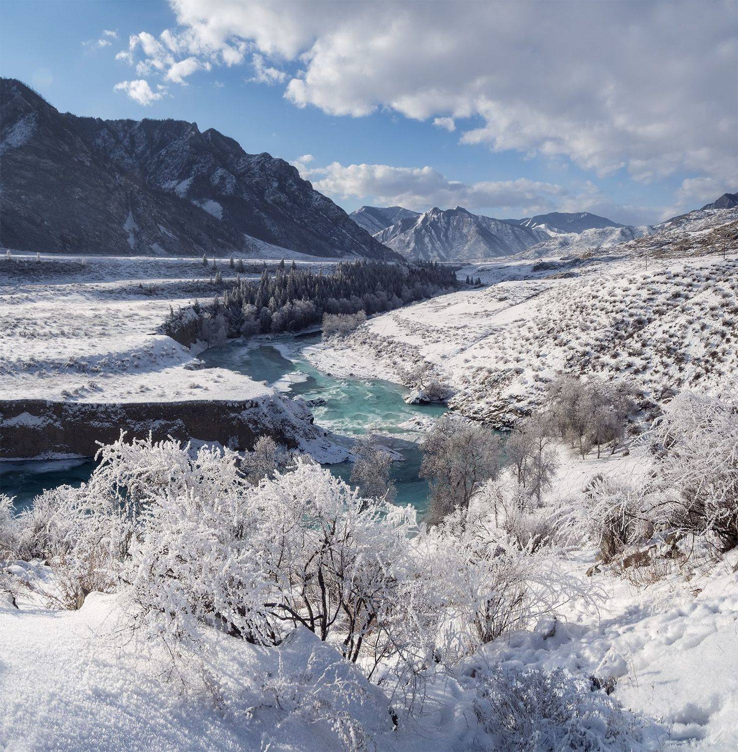 , Лещёнок Александр