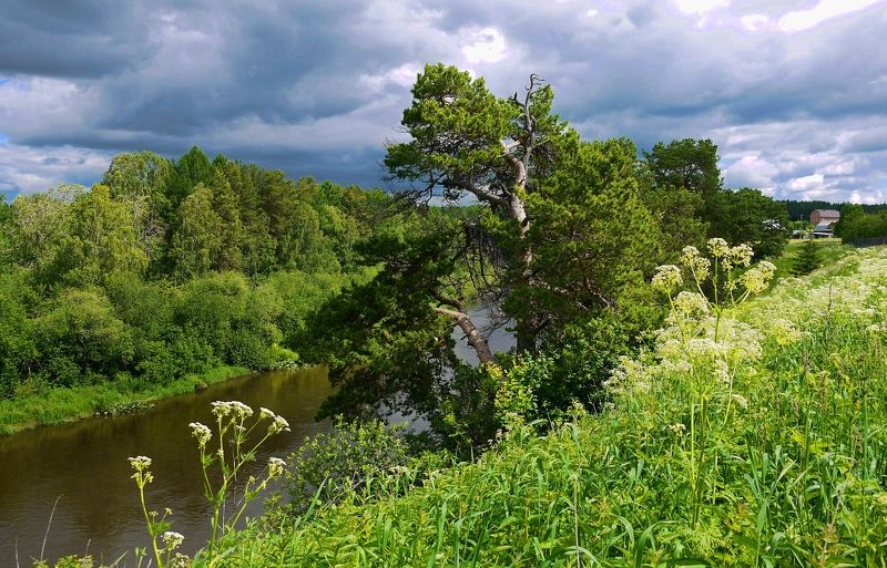 Лето на Чусовой фото превью