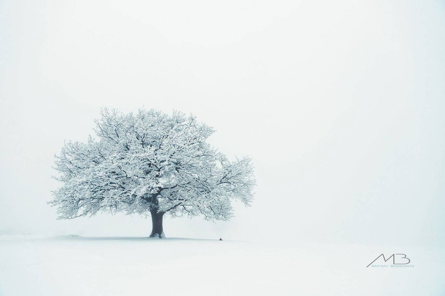 , Mihai Romeo Bogdan