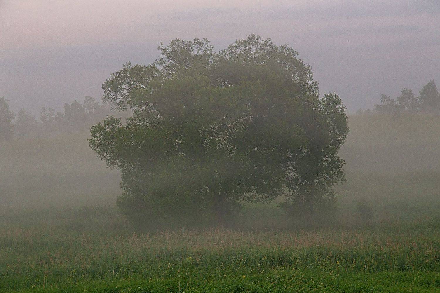 , Землянский Сергей