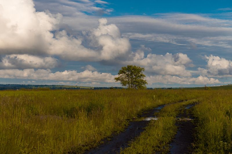 пейзаж, степь, дождь, лето, июнь, landscape, summer, steppe После дождя фото превью