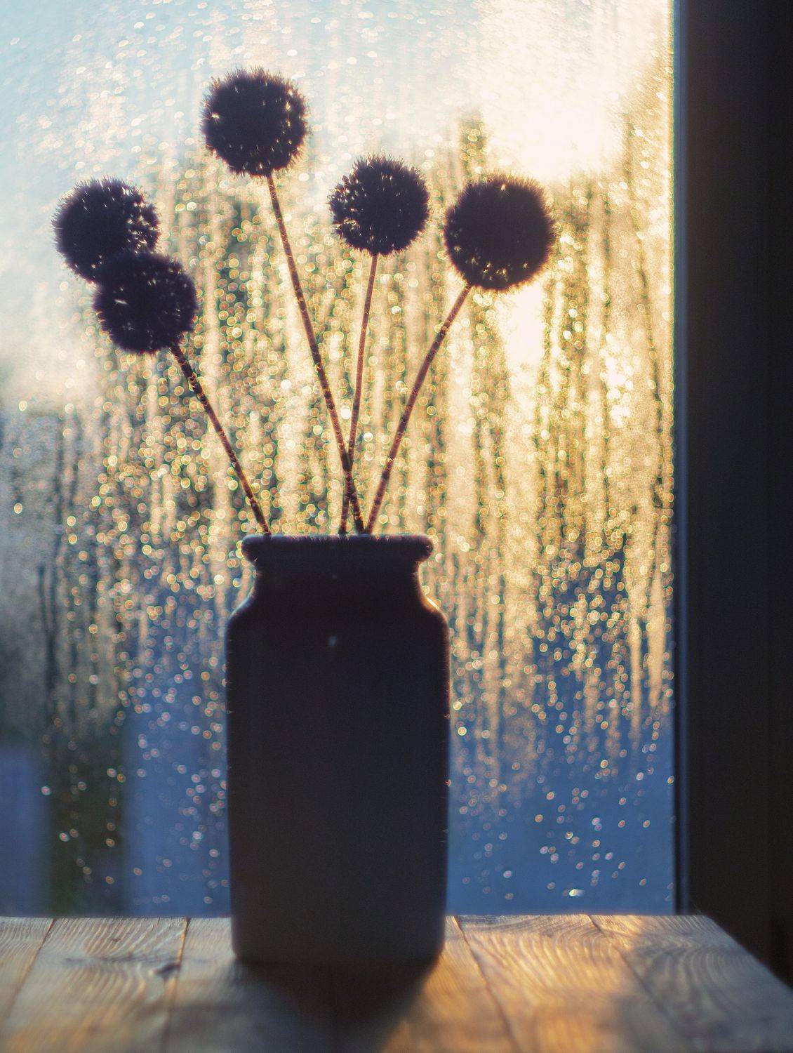 , Андрей Хаймин