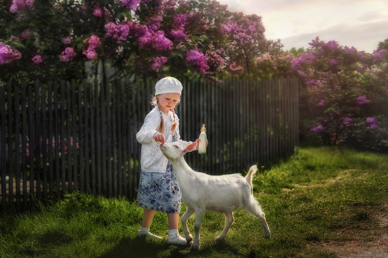 девочка, портрет, сказка, козленок \