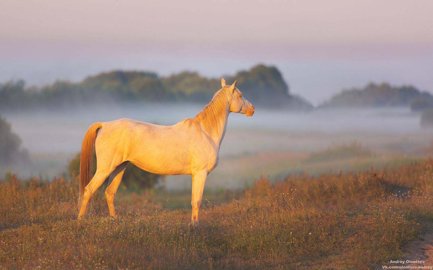 солнце, россия, рассвет, природа, подмосковье, погода, пейзажи, пейзаж, отражение, наукоград, красота, дубна, вода, весна, weather, water, spring, russia, reflection, naukograd, nature, moscow, landscape, dawn, canon, dubna, beauty, Олонцев Андрей