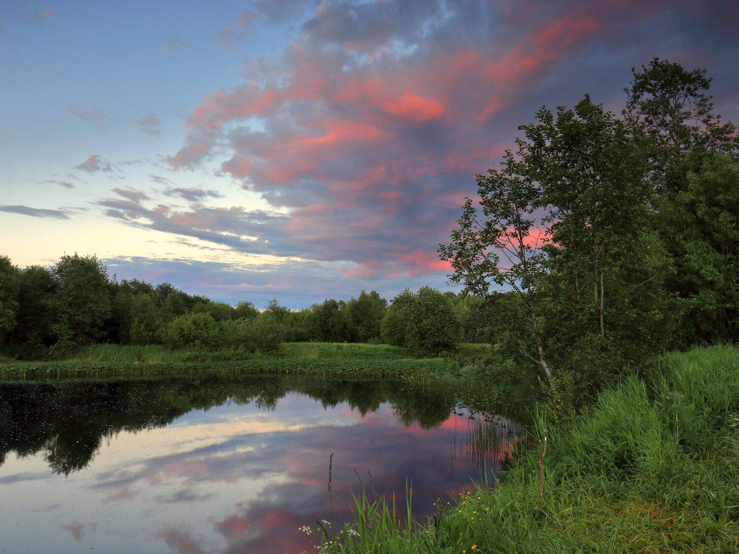 природа, лето, белые ночи, север, архангельская область, Титов Александр
