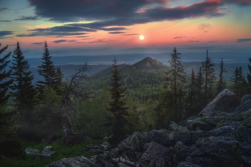 Вечер на Малиновой