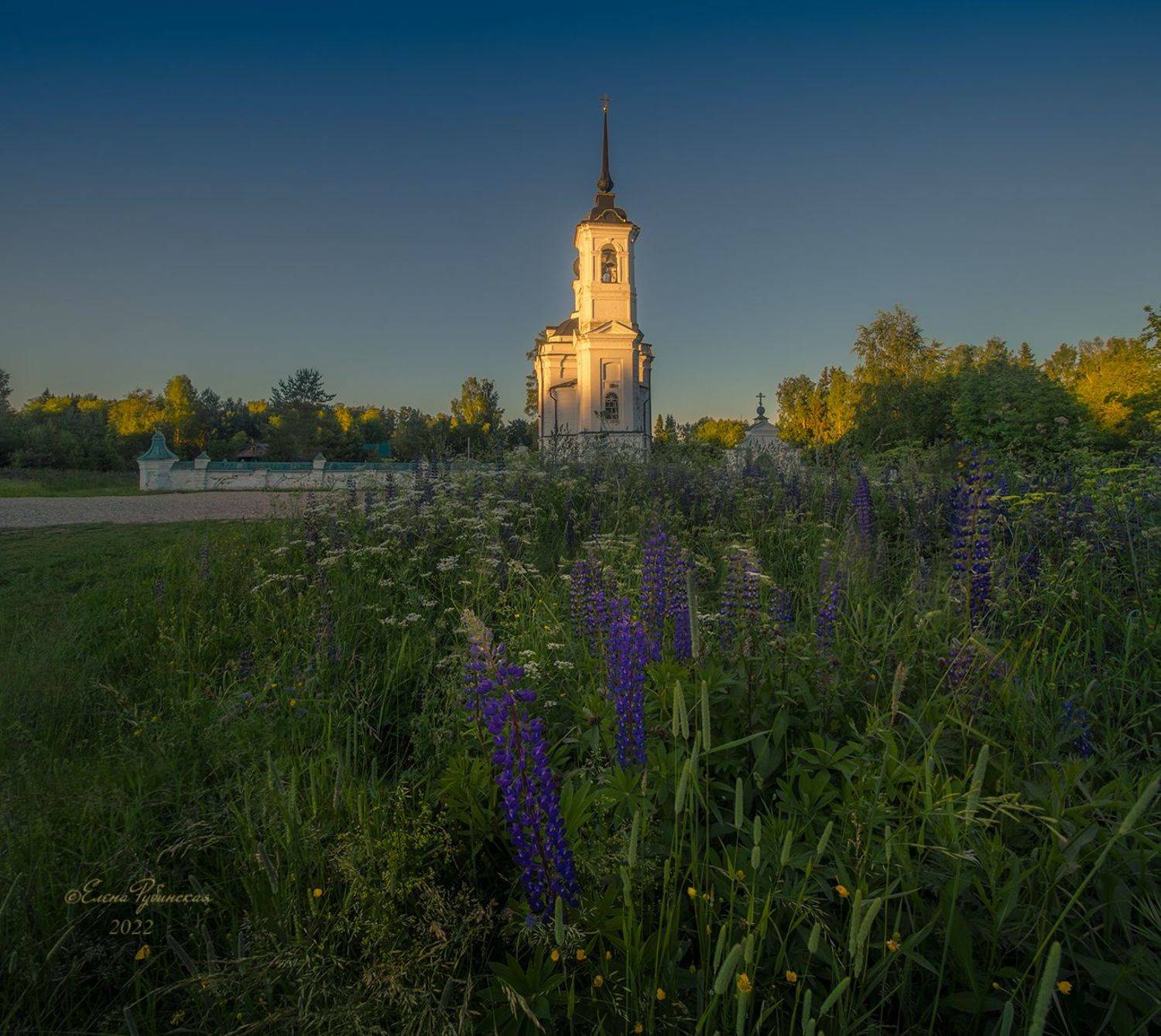 костромская область, островский район, кострома, Елена Рубинская