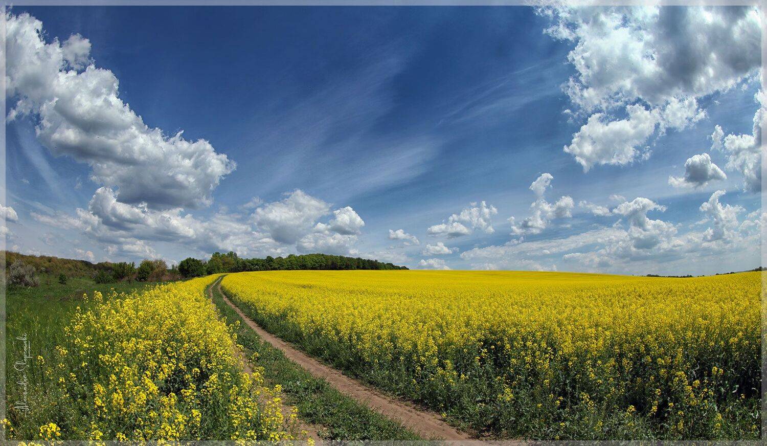 sky, Alexander Slepcowski