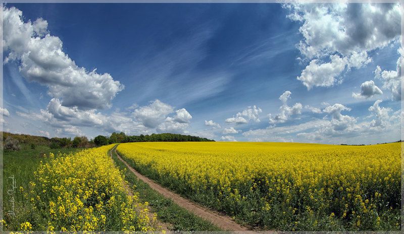 Way фото превью