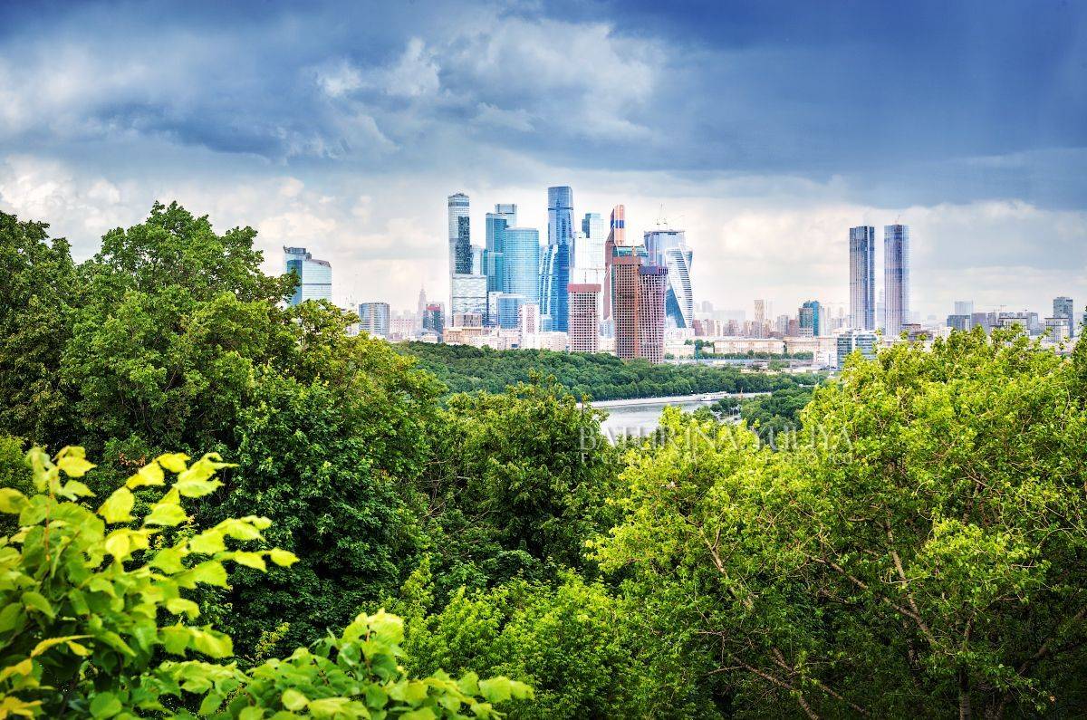 Москоу-сити. Автор: Юлия Батурина москва, москва-сити, воробьевы горы, Юлия Батурина