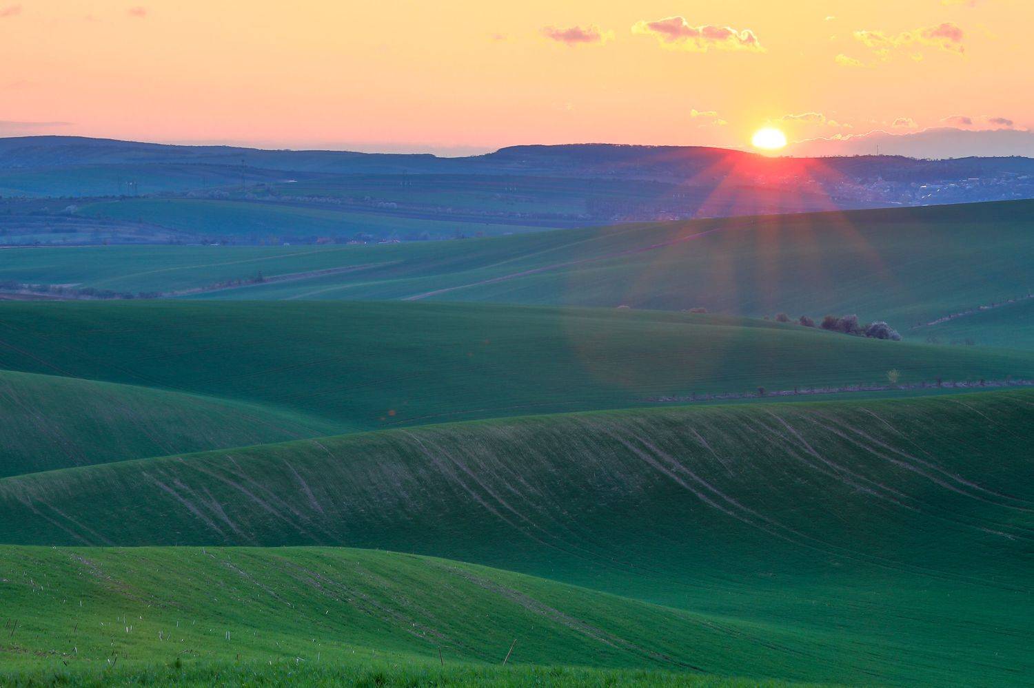 , Евгения Чех