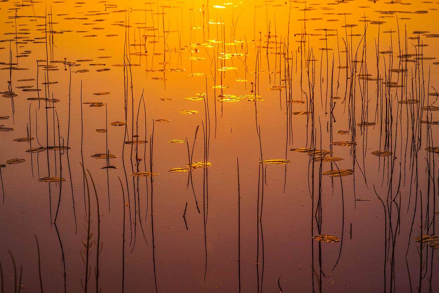 , Напалкин Станислав