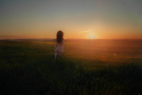 Follow The Sun