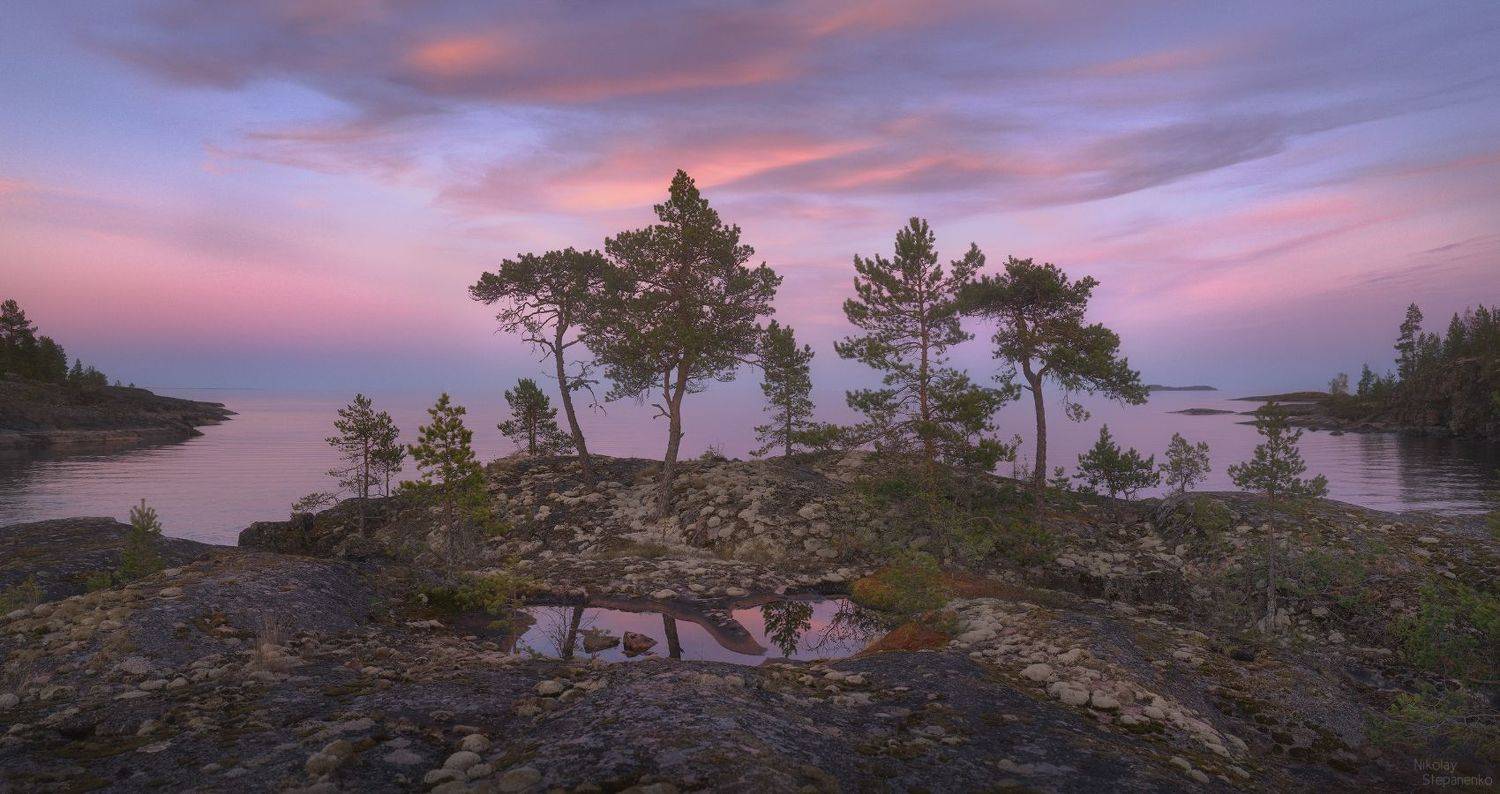 ладога, шхеры, национальный парк ладожские шхеры, сосны, остров, озеро, Николай Степаненко