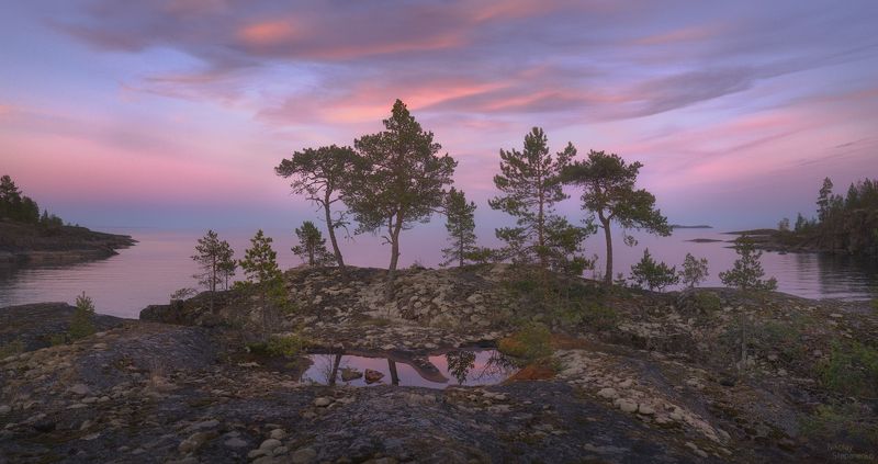 ладога, шхеры, национальный парк ладожские шхеры, сосны, остров, озеро Семья фото превью