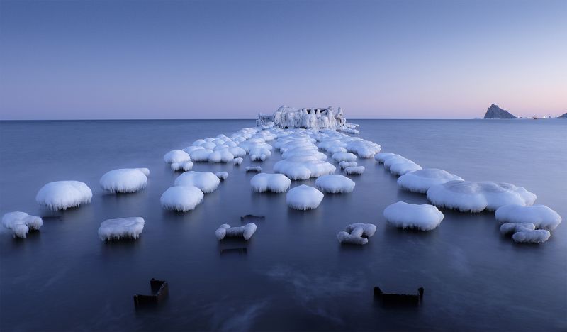 Страшный сон пчелы в июльскую полночь... фото превью