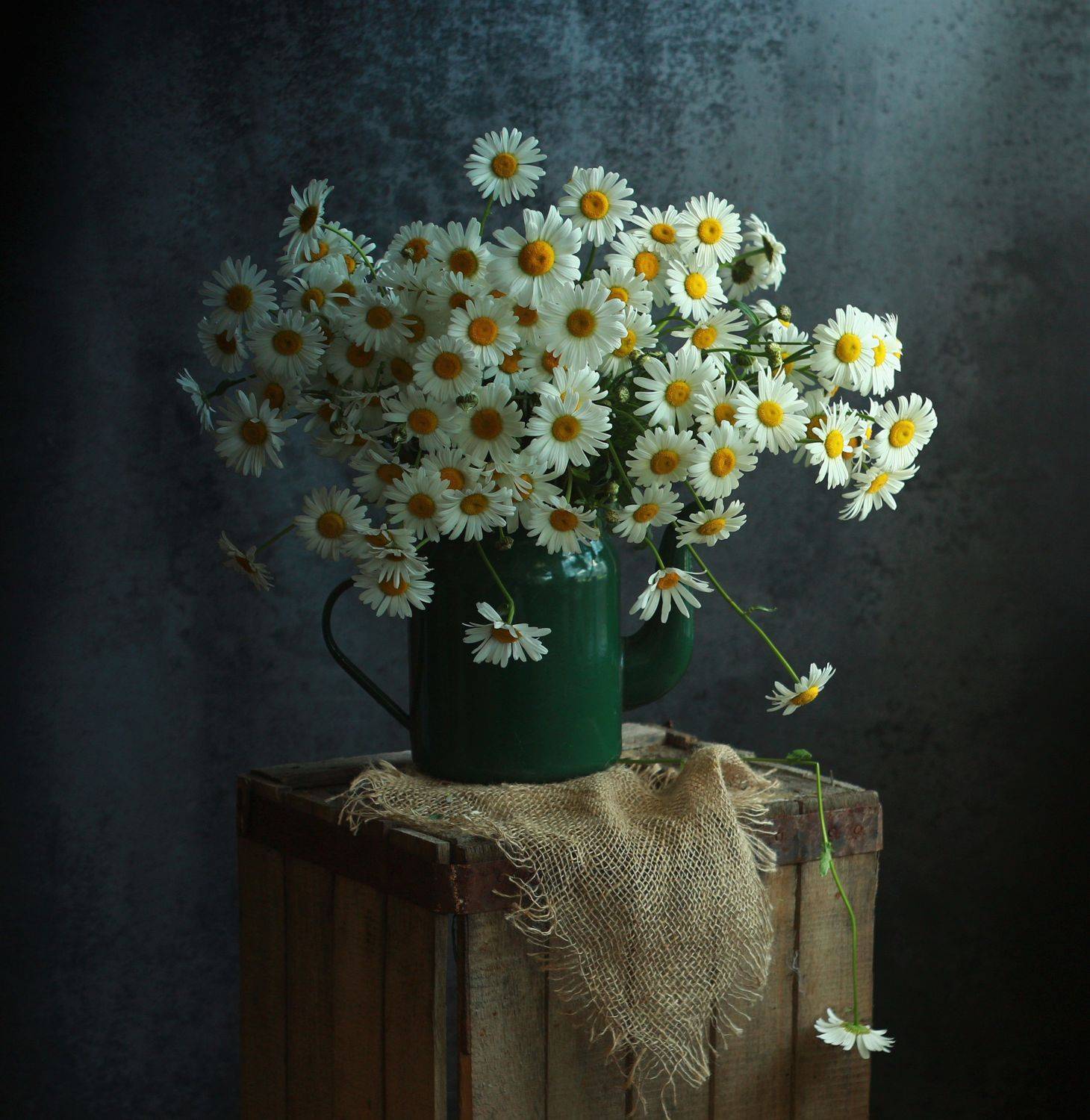 , Людмила Хрусталева*