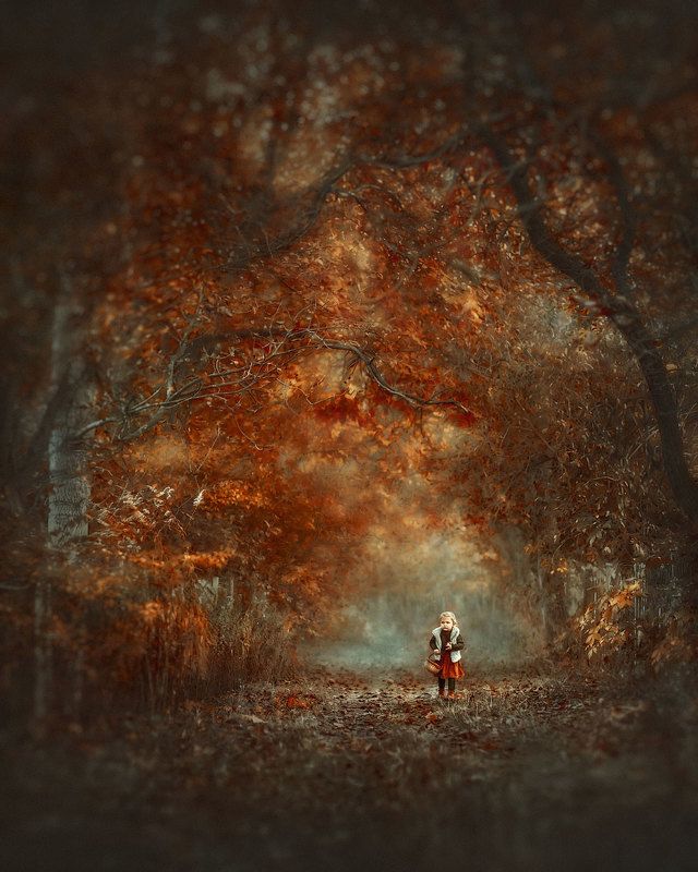 In the forest for mushrooms. фото превью