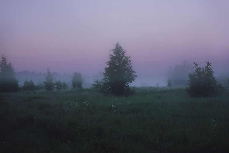 Белые ночи в июне фото превью