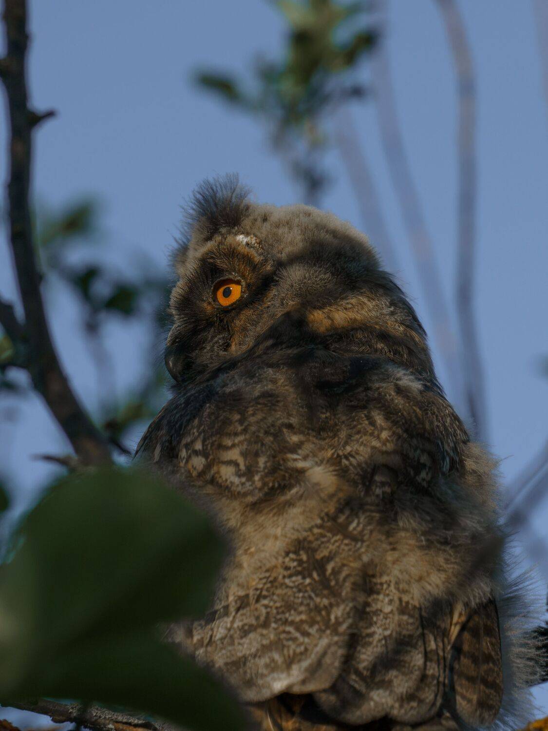 , Семенко Александр