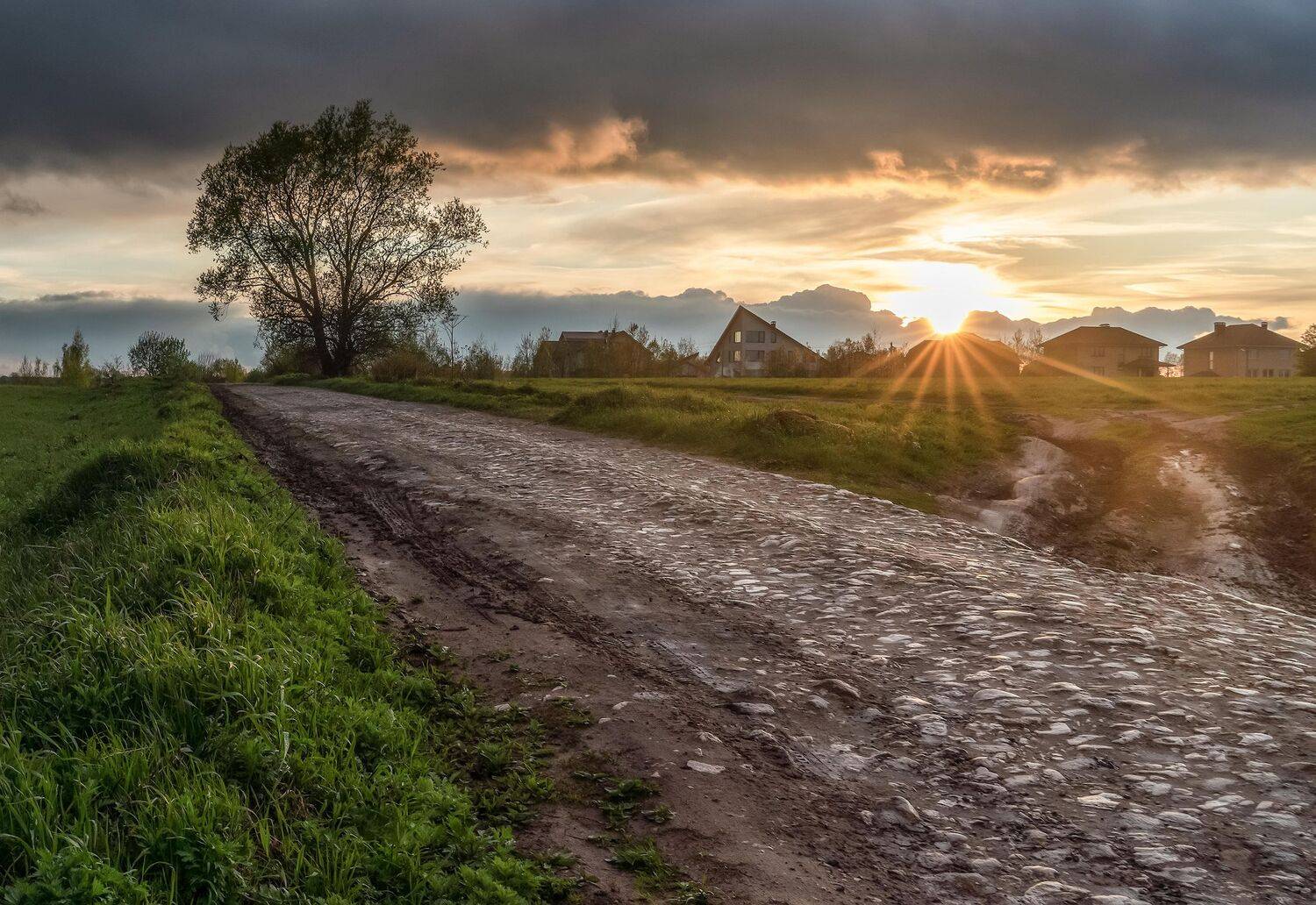 , Константин Дэм