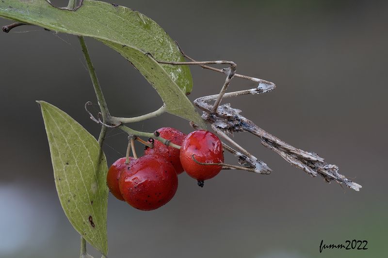 АА ЕСЛИ ТАК? фото превью