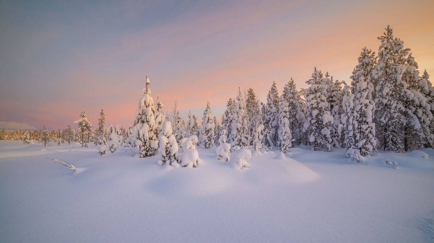 север, кольский, хибины, заполярье,, Роман Горячий
