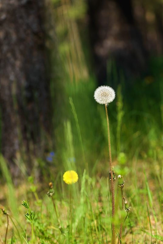 в потоке Времени фото превью
