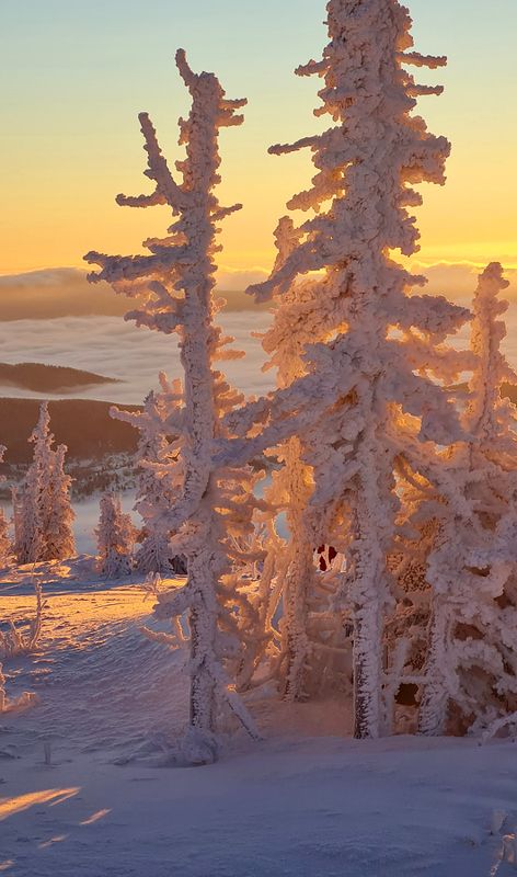 шерегеш Шерегеш фото превью
