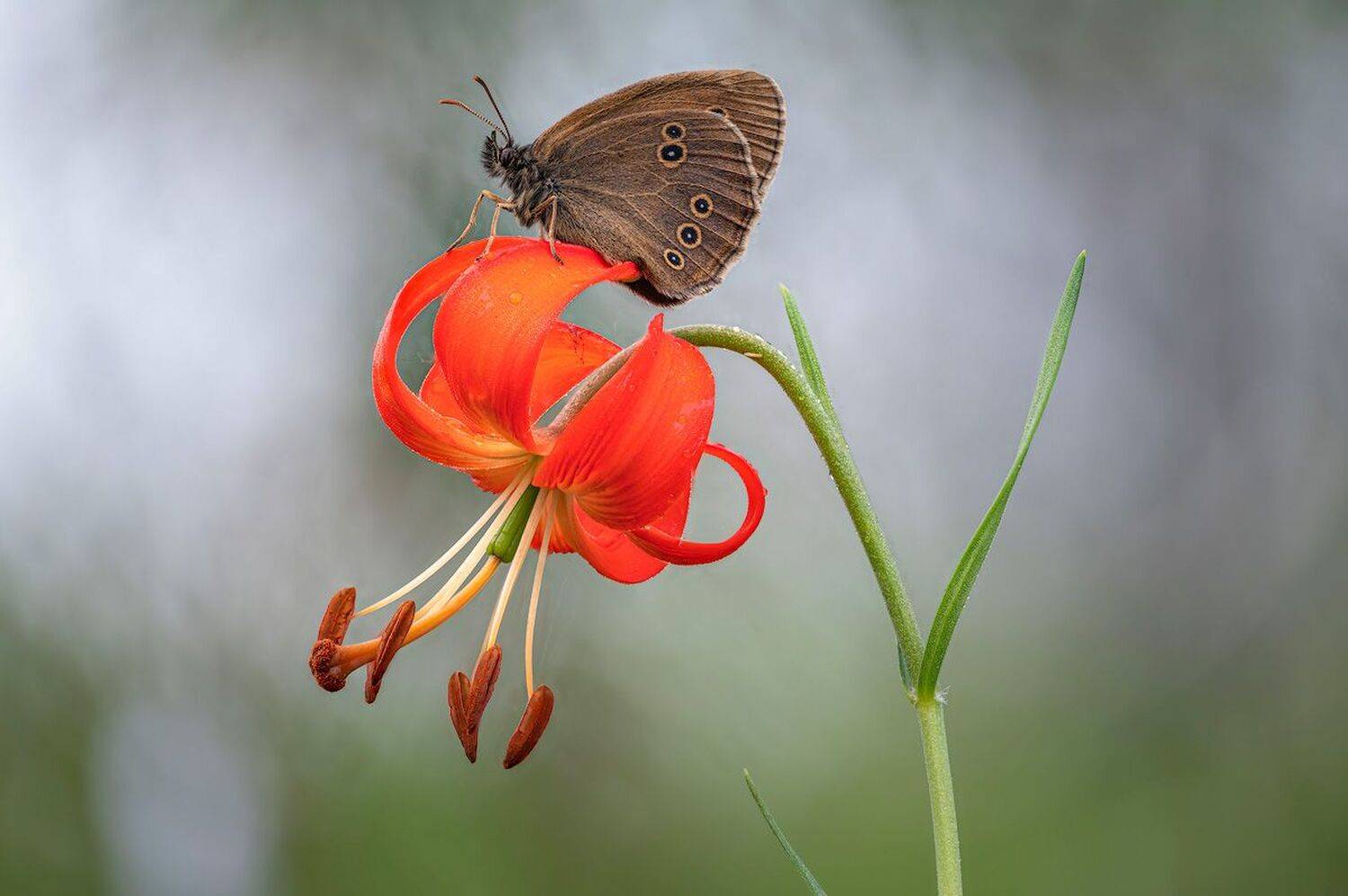 , Сергей Брагин