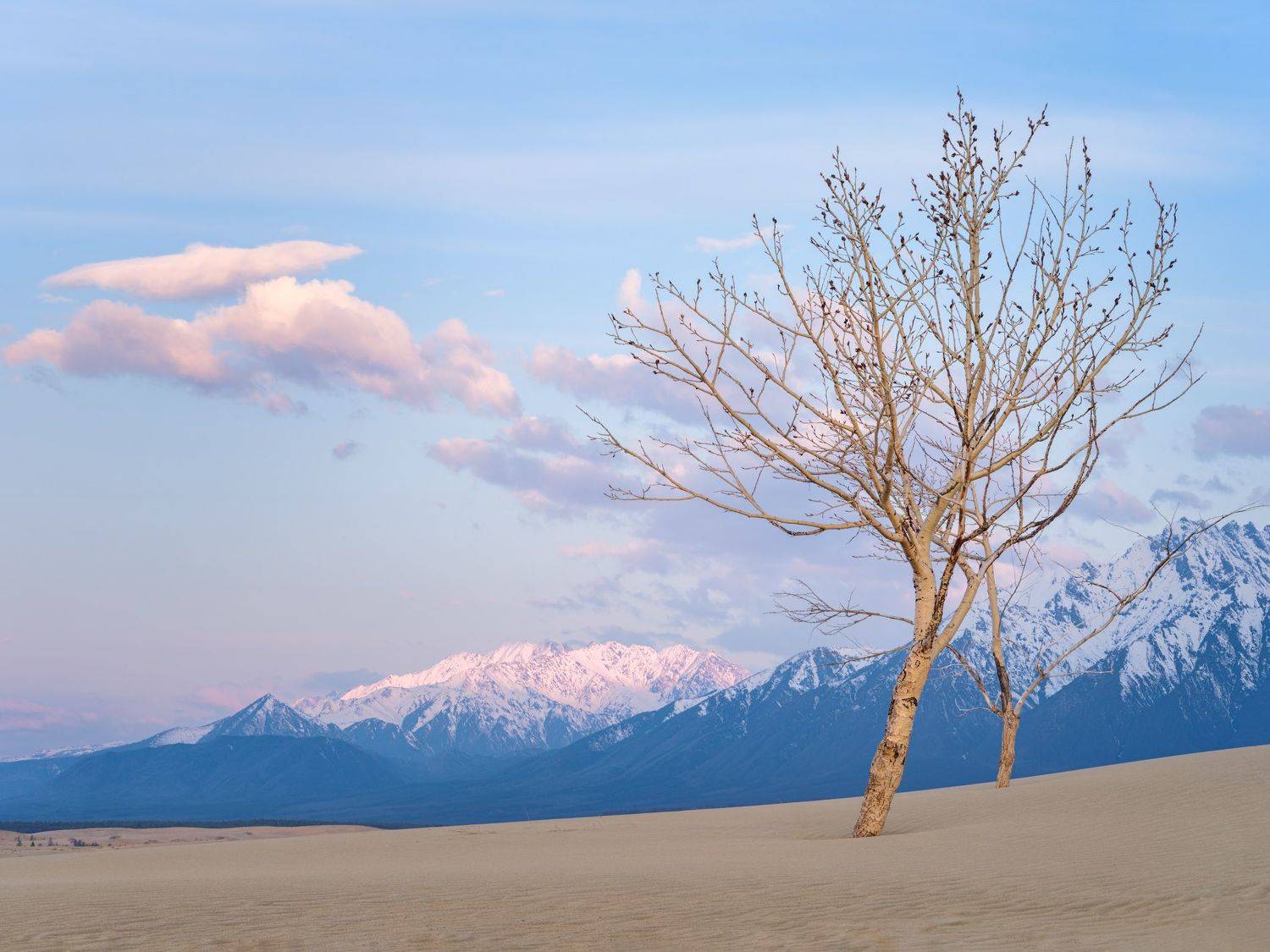 , Леонтьев Константин