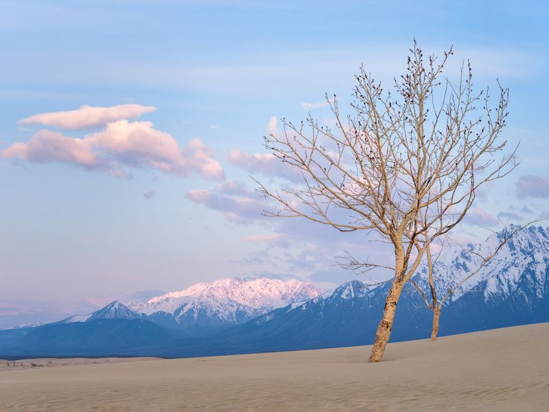 Утро. фото превью