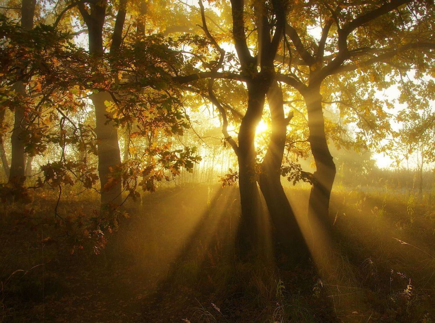 , Сергей Шляга