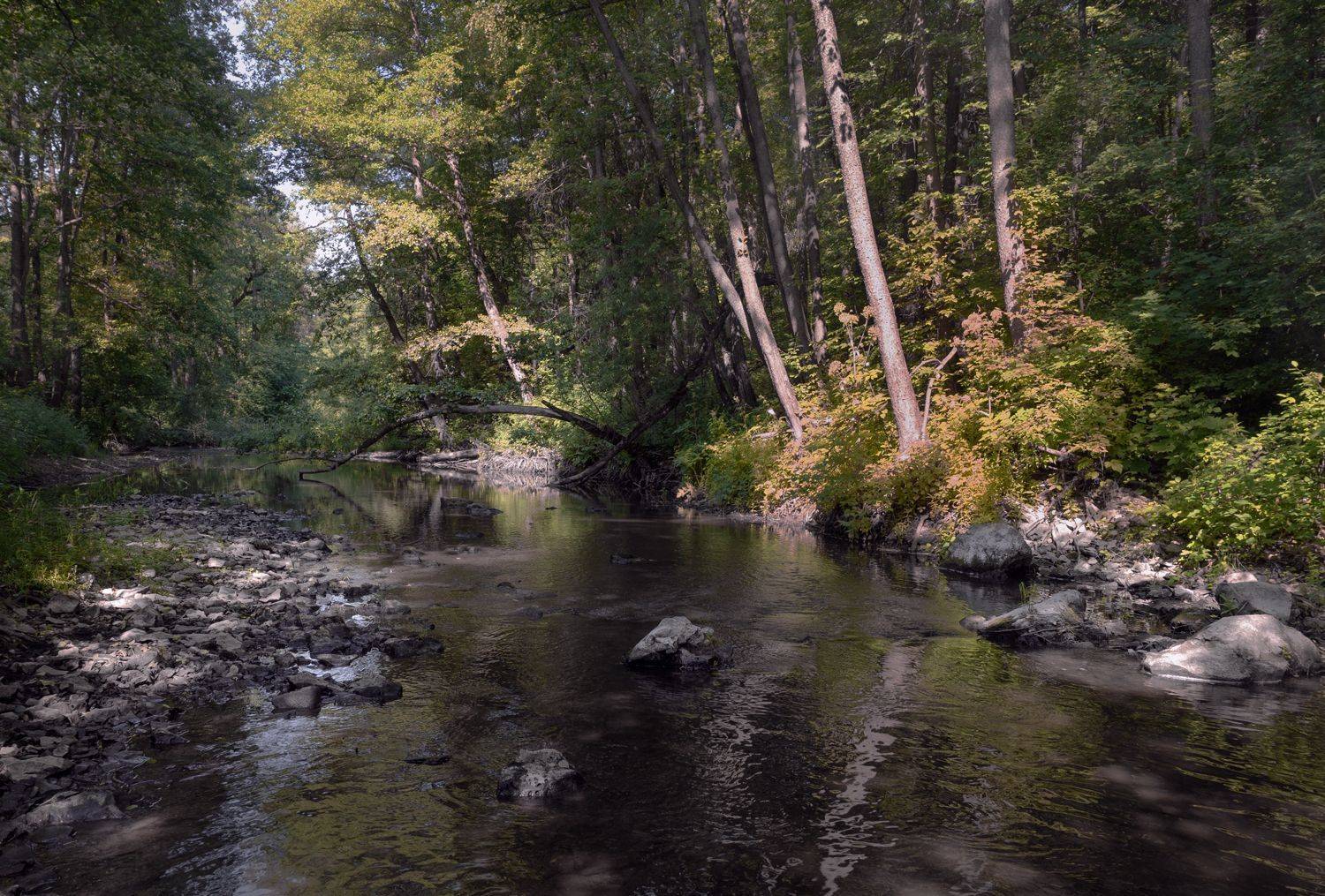 , Баранов Олег