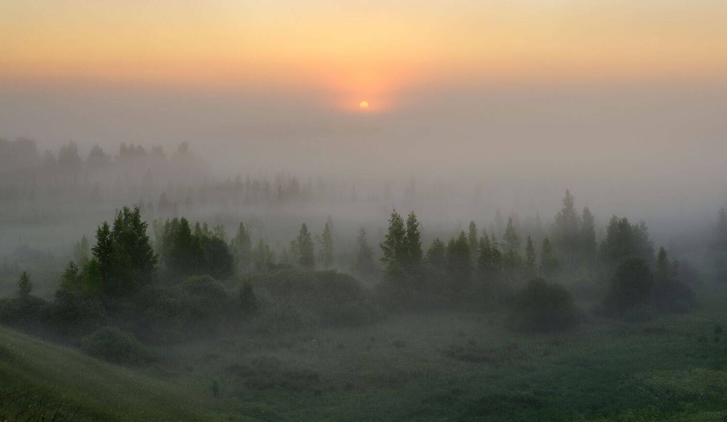 псков, пейзаж,, Roman Dmitriev