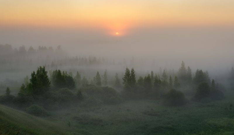 псков, пейзаж, Изборско-Мальскпя долина фото превью