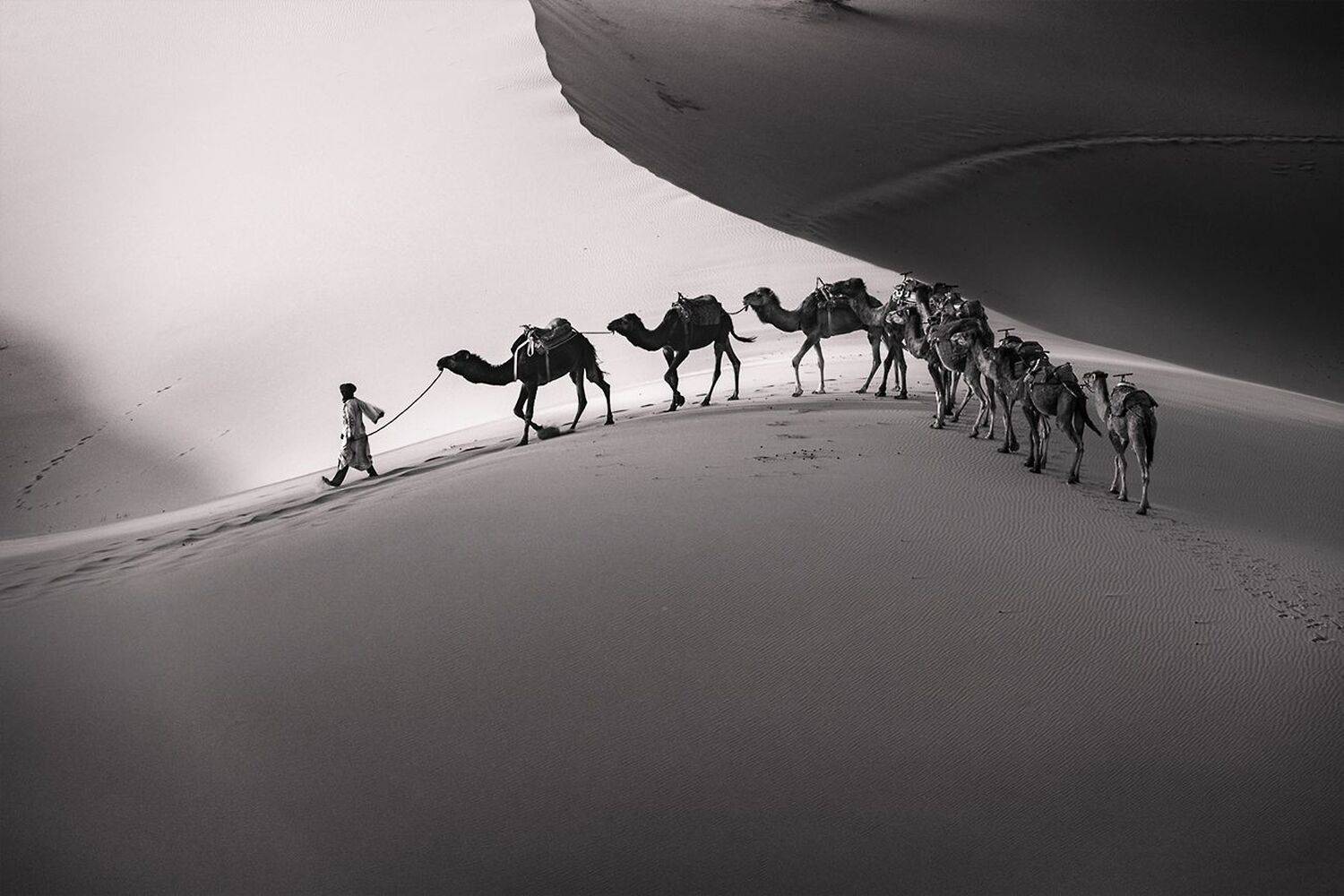 landscape, nature, scenery, spring, desert, sahara, sand, berber, bedouin, sunrise, morning, пейзаж, рассвет, пустыня, Александър Александров