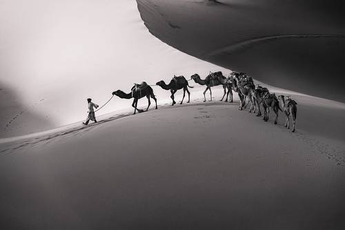 The caravan / Караван