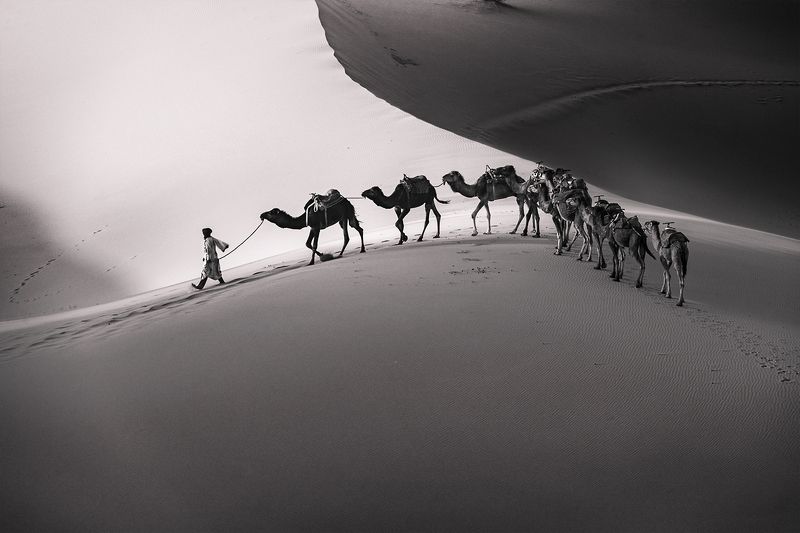 The caravan / Караван фото превью