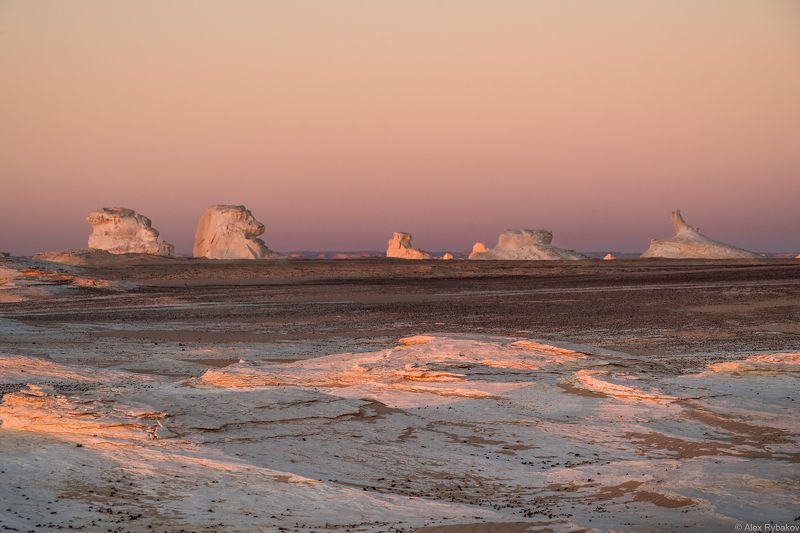Горизонт розовых зефирок фото превью