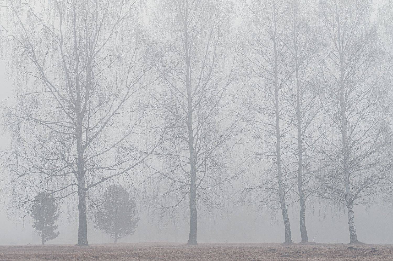 , Дмитрий Рябцев