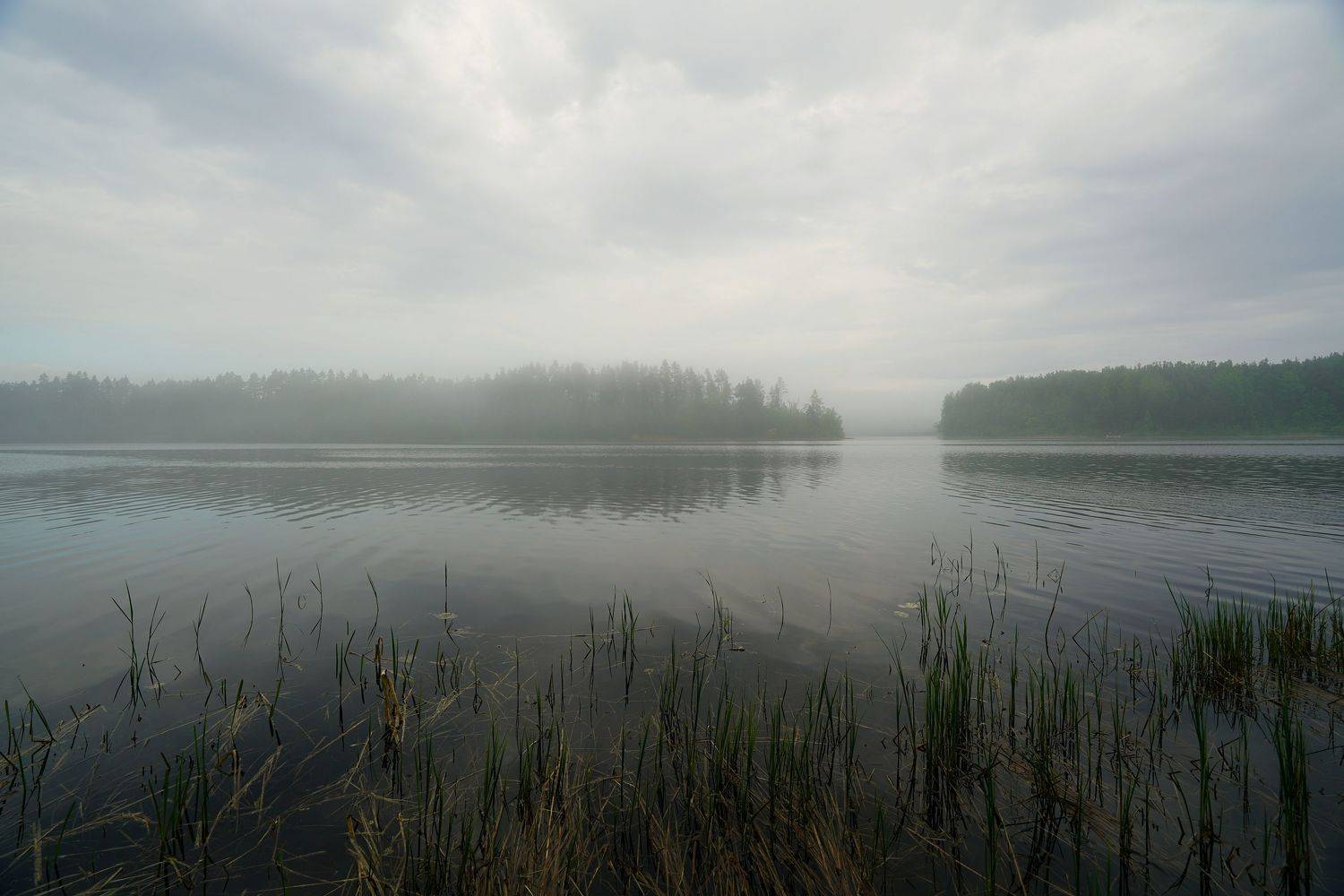 nature, landscape, Сергей Андреевич